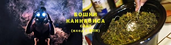 ГАЛЛЮЦИНОГЕННЫЕ ГРИБЫ Алексеевка