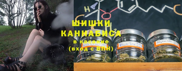 apvp Алзамай