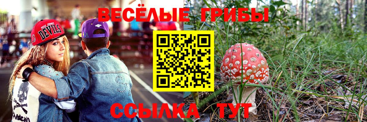 Галлюциногенные грибы прущие грибы  Вход с VPN  Псилоцибиновые грибы Cubensis  Кемерово 