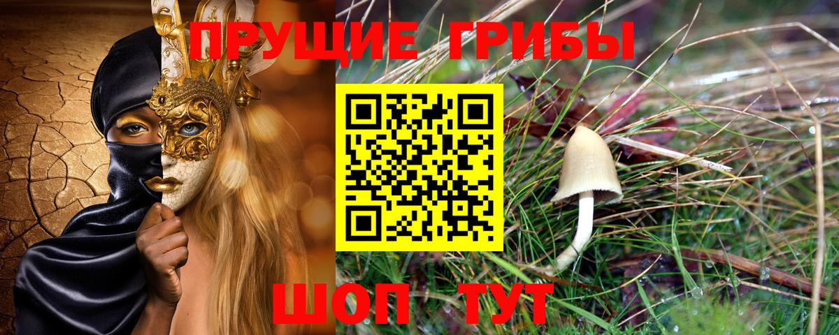 Псилоцибиновые грибы Cubensis Кемерово