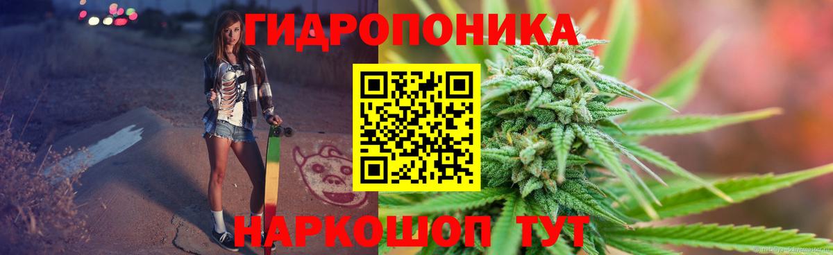 Бошки марихуана индика  Бошки марихуана конопля  Кемерово  Вход с VPN  Марихуана конопля 